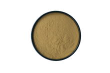 HOJICHA POWDER | 1kg Roasted Green Tea HOJICHA POWDER 1kg Bulk | Buy Wholesale Hojicha in Australia Light Roast 1kg Bag From Uji, Kyoto