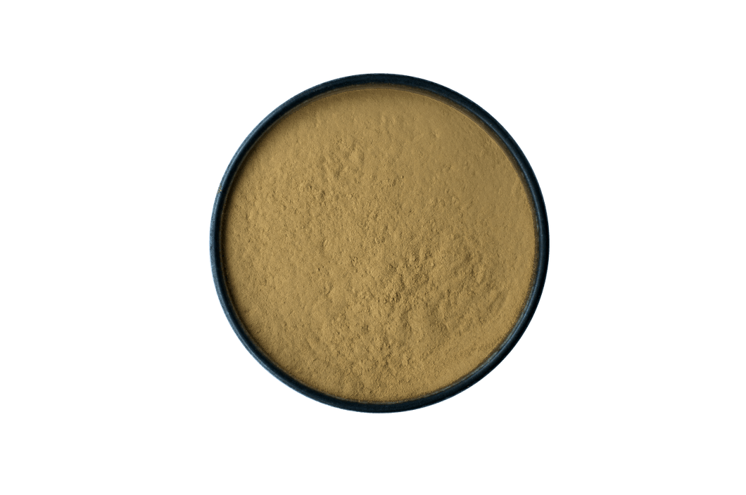 HOJICHA POWDER | 1kg Roasted Green Tea HOJICHA POWDER 1kg Bulk | Buy Wholesale Hojicha in Australia Light Roast 1kg Bag From Uji, Kyoto